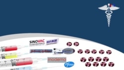 Որքանով են արդյունավետ պատվաստումները COVID-19-ի նոր տարբերակների դեմ պայքարում. մասնագետների կարծիք