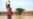 Upsurge in Cholera Threatens Thousands in Sahel