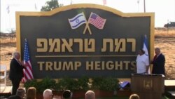 居住以色列的美国选民关注2020总统大选