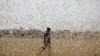 FILE - A man attempts to fend off a swarm of desert locusts at a ranch near the town of Nanyuki in Laikipia county, Kenya, Feb. 21, 2020. 