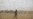 COVID-19 Restrictions Hurt East Africa's Fight Against Locusts