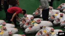 Para pembeli, pekerja, dan juru lelang dalam lelang tuna pertama di pasar ikan baru Toyosu, hari pertama pembukaan pasar ikan tersebut di Tokyo, 11 Oktober 2018.