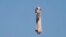 Blue Origin's New Shepard rocket launches carrying TV celebrity and former NFL football great Michael Strahan along with other passengers from its spaceport near Van Horn, Texas, Dec. 11, 2021.