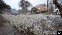 Las temperaturas frías y un aspersor de césped crean hielo en el césped antes de una tormenta invernal que se espera que azote la región del norte de Texas mañana, miércoles 8 de enero de 2025, en Richardson, Texas. AP