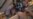 16x9 Image