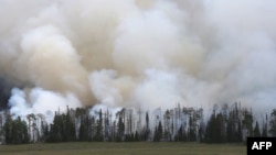 Smoke bellows from a stand of trees from a wildfire that is burning in the area, June 25, 2017, outside Panguitch, Utah.