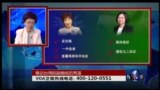 专访台湾前副总统吕秀莲:台湾2016总统大选