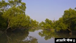 সুন্দরবন