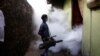 WHO Warns of Dengue Fever as Global Cases Rise