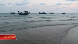 Việt Nam 'lấn cấn' trong việc công bố thông tin vụ cá chết