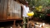 Bernard Mwololo feeds chickens at the Nyumbani Children's Home in Nairobi, Kenya, on Aug. 15, 2023. Benard, who has lived most of his life at the orphanage after his parents died of AIDS, believes he is alive only because of antiretroviral drugs made possible by U.S. assistance.