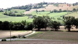 Cambiar la manera de comer pasta italiana a través de la artesanía