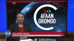 Tamsaasa Guyaadhaa Guyyaa