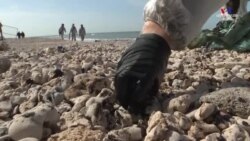 Միջերկրական ծովում կպչուն մուգ խեժի արտահոսքի հետևանքով տուժել են Իսրայելի և Լիբանանի որոշ ծովափեր