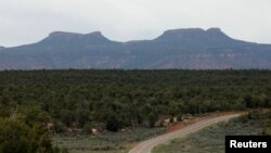 Bears Ears, the twin rock formations which form part of Bears Ears National Monument in the Four Corners region, are pictured in Utah, May 16, 2017. 