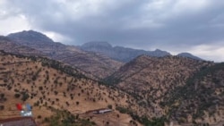 بڕینی هەزاران داری ناوچە سنوورییەکانی هەرێمی کوردستان و بردنیان بۆ تورکیا
