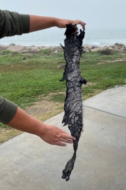 A spectator holds a piece of debris which was blown 5 miles from the site where SpaceX test rocket SN11 exploded upon landing, in Boca Chica