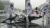 Environmental activists demonstrate with a mock whale, during a protest against the plans of the South Korean government to resume hunting whales for research purpose, in central Seoul July 6, 2012. 