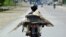 A fishmonger carries a shark on his motorcycle in Padang, West Sumatra, Indonesia August 25, 2016 in this photo taken by Antara Foto.