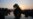 Environmentalists Issue Warning on Mekong Biodiversity