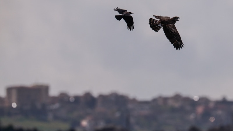 اسرائیل و لبنان سه‌شنبه در واشنگتن مذاکره می‌کنند