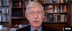Foto tomada del video de la entrevista de la VOA a Francis Collins, director del Instituto Nacional de Salud de Estados Unidos.