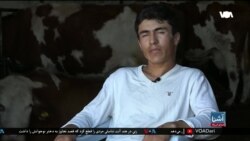 برنامۀشنبه خبری آشنا