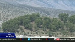 Dëmtimet e pyjeve në Shqipëri