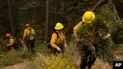 Pemadam kebakaran menyingkirkan ranting ranting pohon di sepanjang jalan raya 50 di dekat South Lake Tahoe, California, pada 31 Agustus 2021, dalam upaya mencegah kebakaran di area tersebut. (Foto: Associated Press)