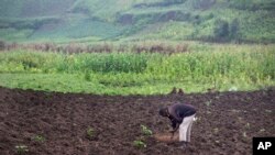 Yawan gonaki babu lawalin dabbobi na kawo rikici