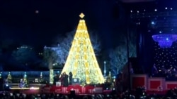 National Christmas Tree