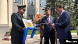U.S. Secretary of Defense Mark Esper is gifted a horse in Ulan Bator, Mongolia August 8, 2019. 
