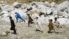 PBB: Jumlah Warga Sipil yang Tewas di Afghanistan Turun 12 Persen