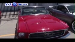 Xe thể thao nổi tiếng Mustang mừng 50 tuổi