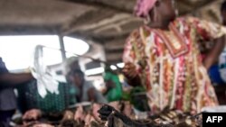 Une vendeuse de viande de brousse au marché de Mbandaka, RDC, 22 mai 2018