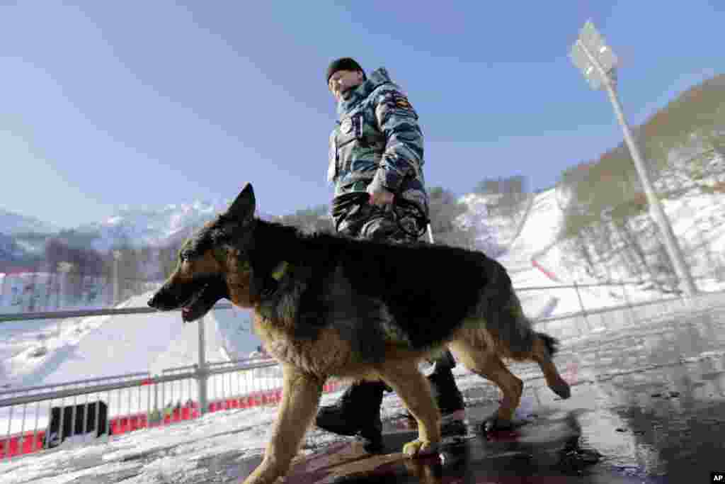 A Russian security forces K-9 officer patrols with his dog near the finish area of the Alpine ski course ahead of the 2014 Sochi Winter Olympics, Feb. 4, 2014.