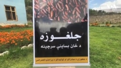 په نورستان کې د ځنګلونو د پراختیا لپاره هڅې