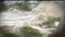 اخبار شامگاهی