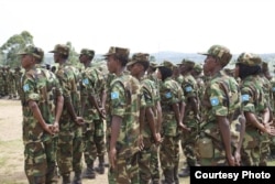 Danab commando unit. (Somalia Handout Photo)