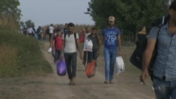 Migrants Stream Toward Croatia After Hungary Border Closure