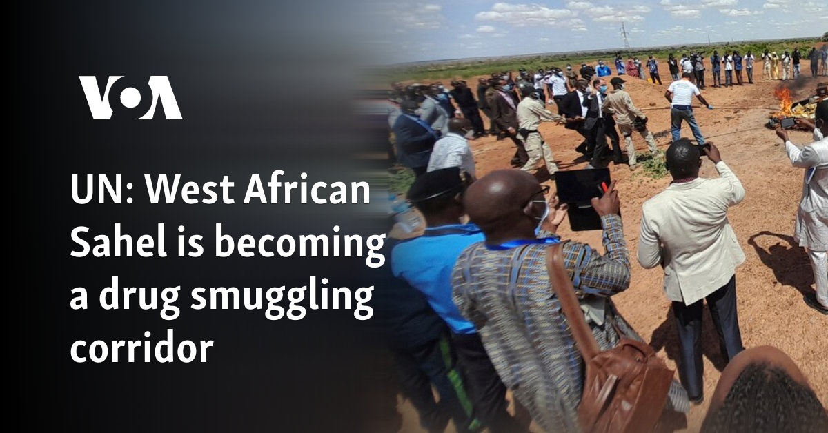 UN: West African Sahel is becoming a drug smuggling corridor