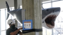 A fiberglass replica of Bruce, the shark from Steven Spielberg's 1975 film "Jaws," looms over worker Will Wilson of LA Pro Point after it was raised into position at the new Academy of Museum of Motion Pictures, Friday, Nov. 20, 2020, in Los Angeles