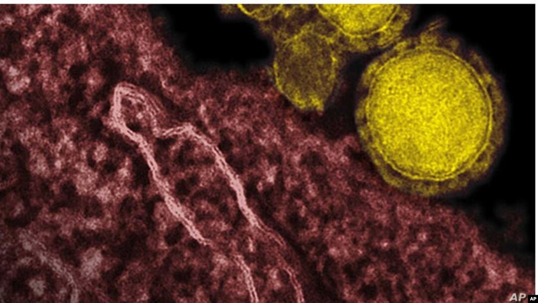 Virus Corona.