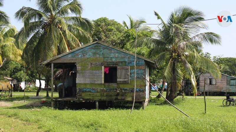 The UN and the IACHR are concerned about the situation of "extreme urgency" of indigenous people in Nicaragua