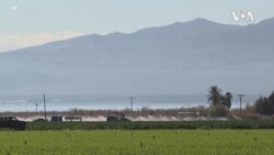 COVID California Farmers USAGM