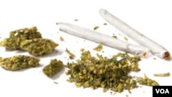 La marihuana sigue siendo prohibida a nivel federal. En Washington ya era legal para uso medicinal.