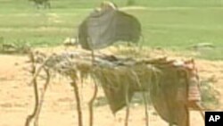 Rice On Darfur