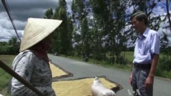 Vietnam Could Become World's Biggest Rice Exporter