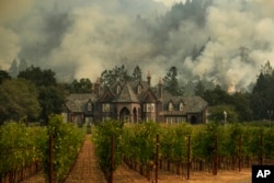 A wildfire burns behind a winery, Oct. 14, 2017, in Santa Rosa, California.