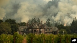 Api dari kebakaran hutan tampak dari kejauhan sebuah kebun anggur, 14 Oktober 2017 di Santa Rosa, California.